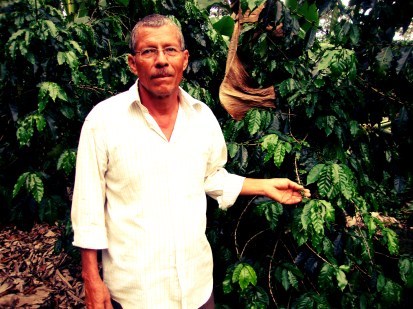 Anselmo Berrios, caficultor.