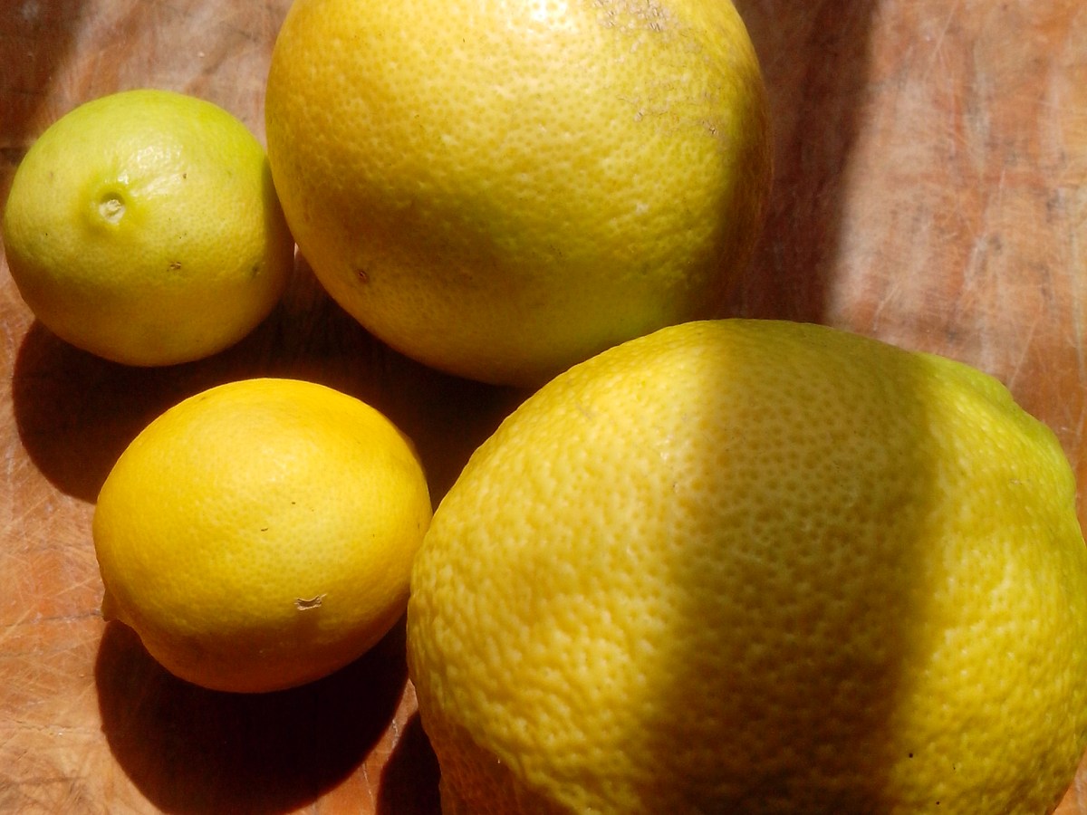 Receta: Limones en&nbsp;conserva.